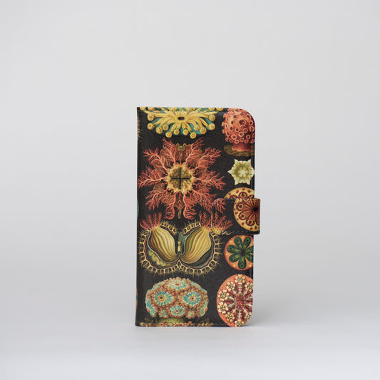 【手帳型】海鞘 -Ascidiae-